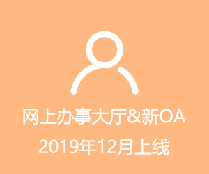 网上办事大厅&新OA2019年...